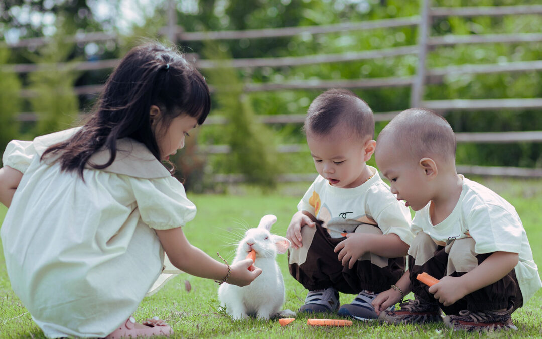 TERAPIA RACIONAL EMOTIVA CONDUCTUAL (TREC) EN NIÑOS